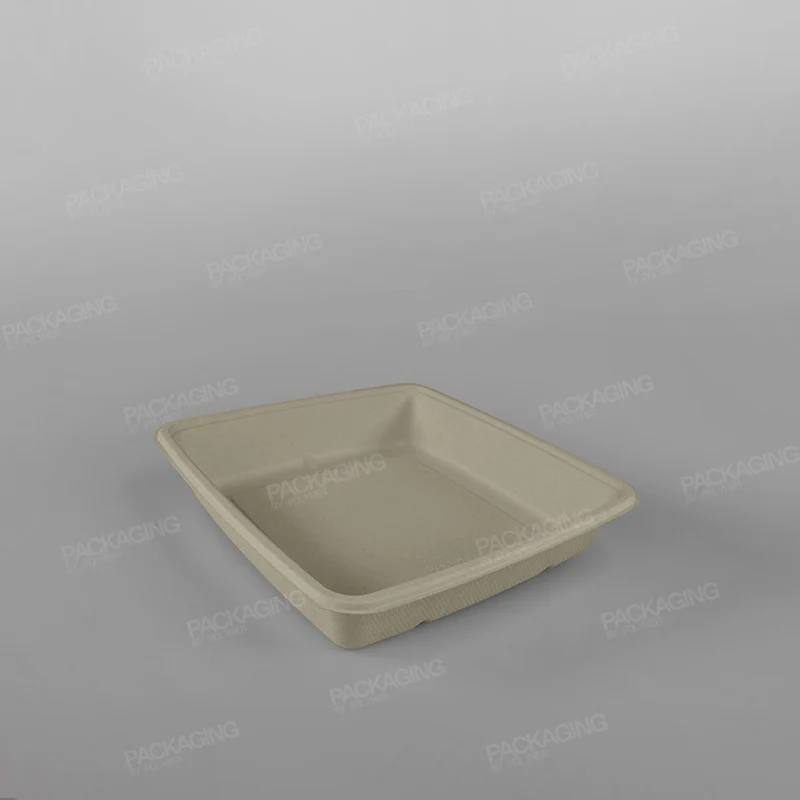 Eco-Friendly Hot Food Packaging